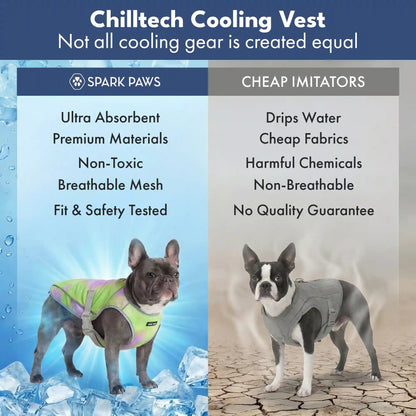 Dog Cooling Vest - Neon Purple