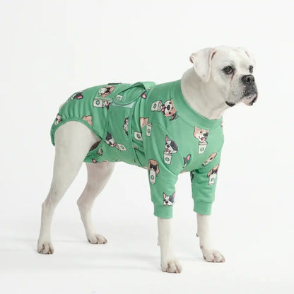 Dog Surgical Suit