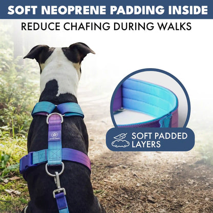 Comfort Control No-Pull Dog Harness Set - 90s Retro