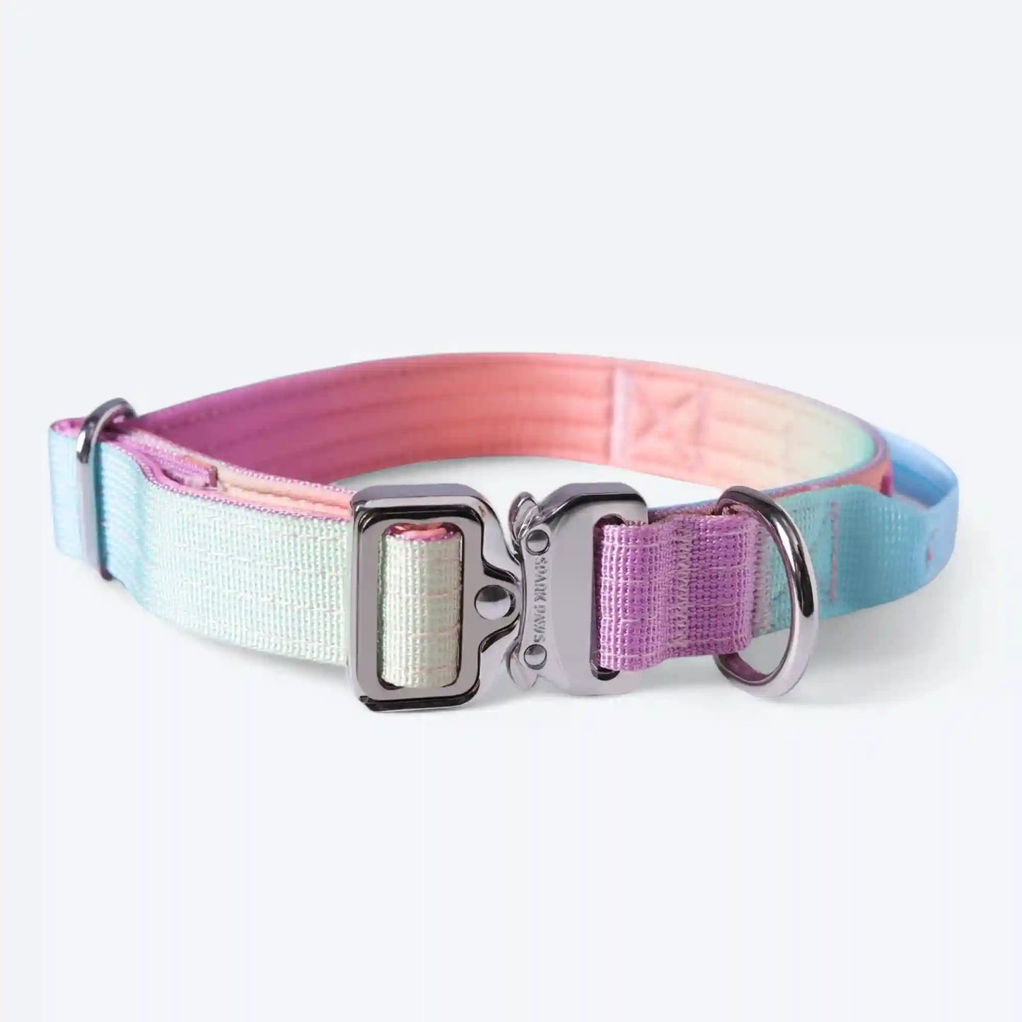 Comfort Control Dog Collars