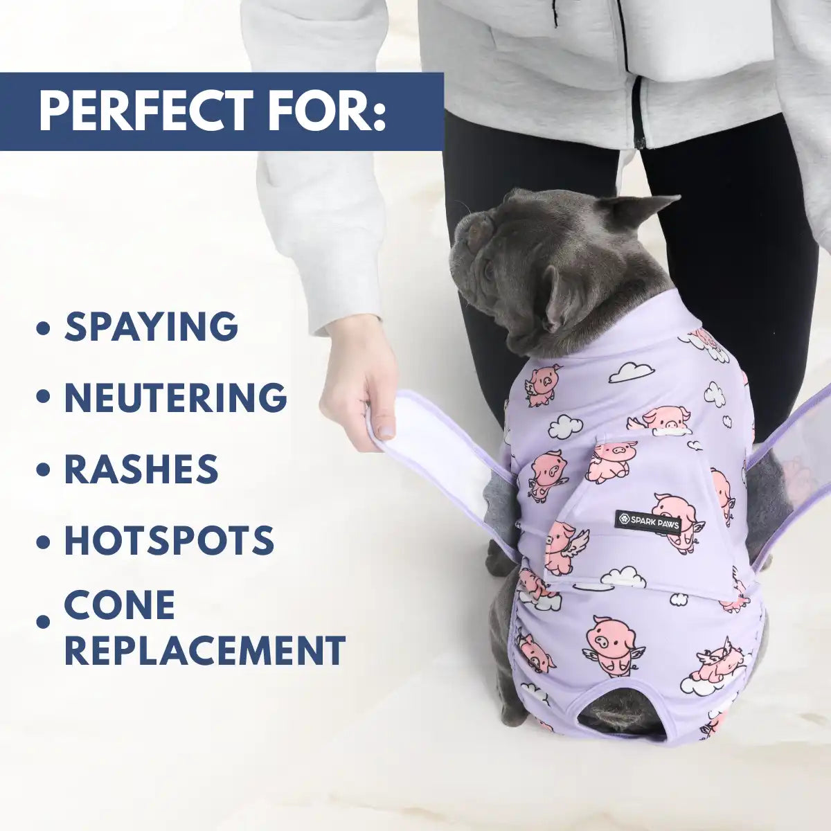 Dog Surgical Suit
