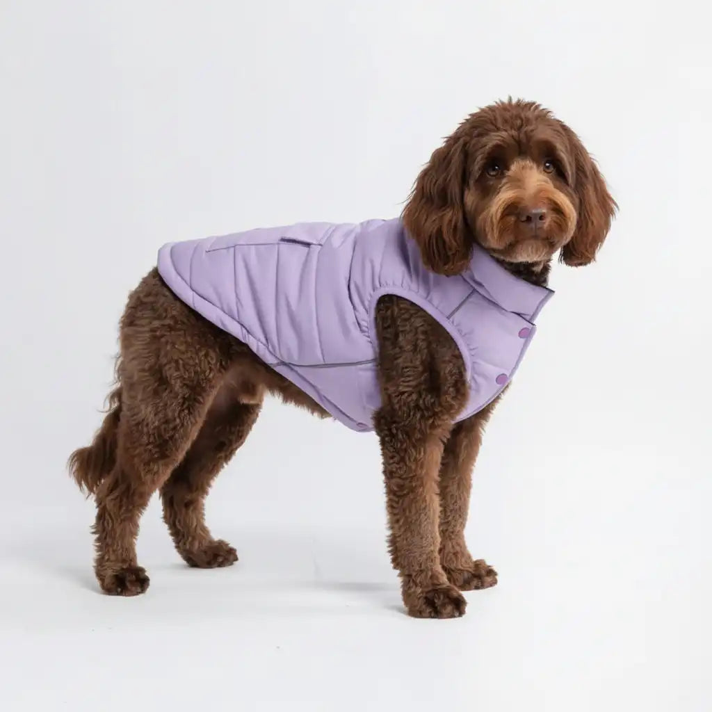WarmShield Water-Resistant Jackets