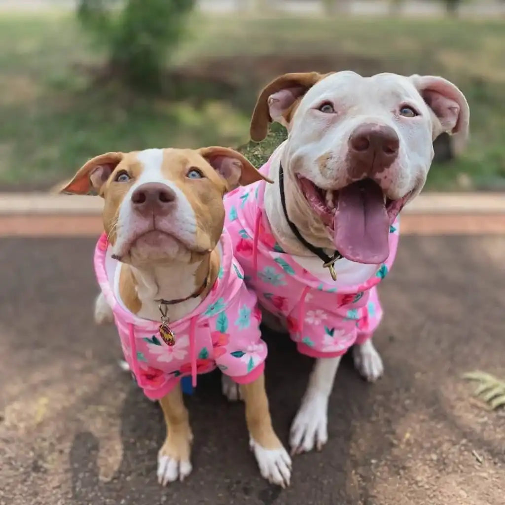 Dog Hoodie Prints
