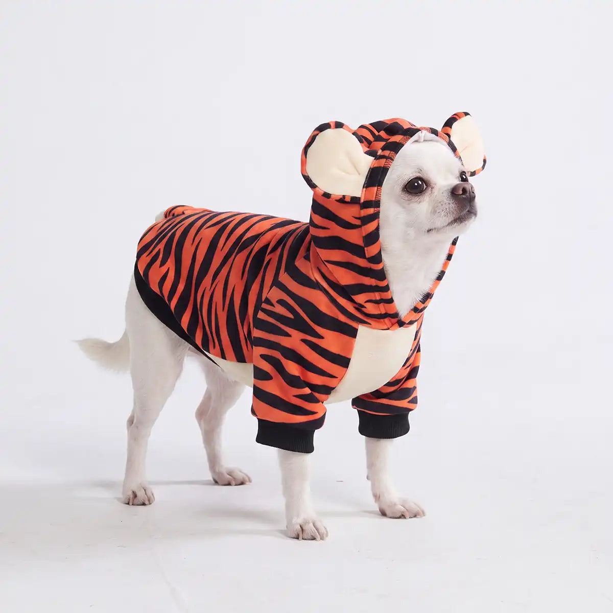 Halloween Dog Hoodie - Tiger (2)