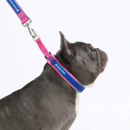 Cushioned Martingale Collars