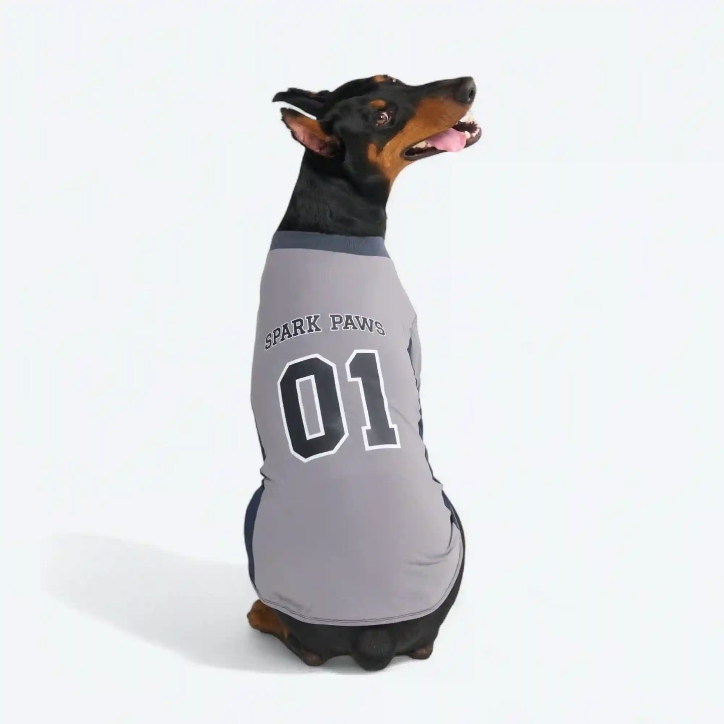 Football Mesh Jersey - Grey