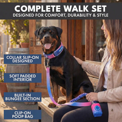 Martingale Collar and Multipurpose Leash Set - Snow Cone