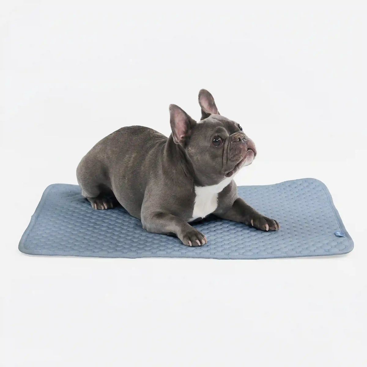 Frostcore™ Cooling Mat - Ash Blue (2)