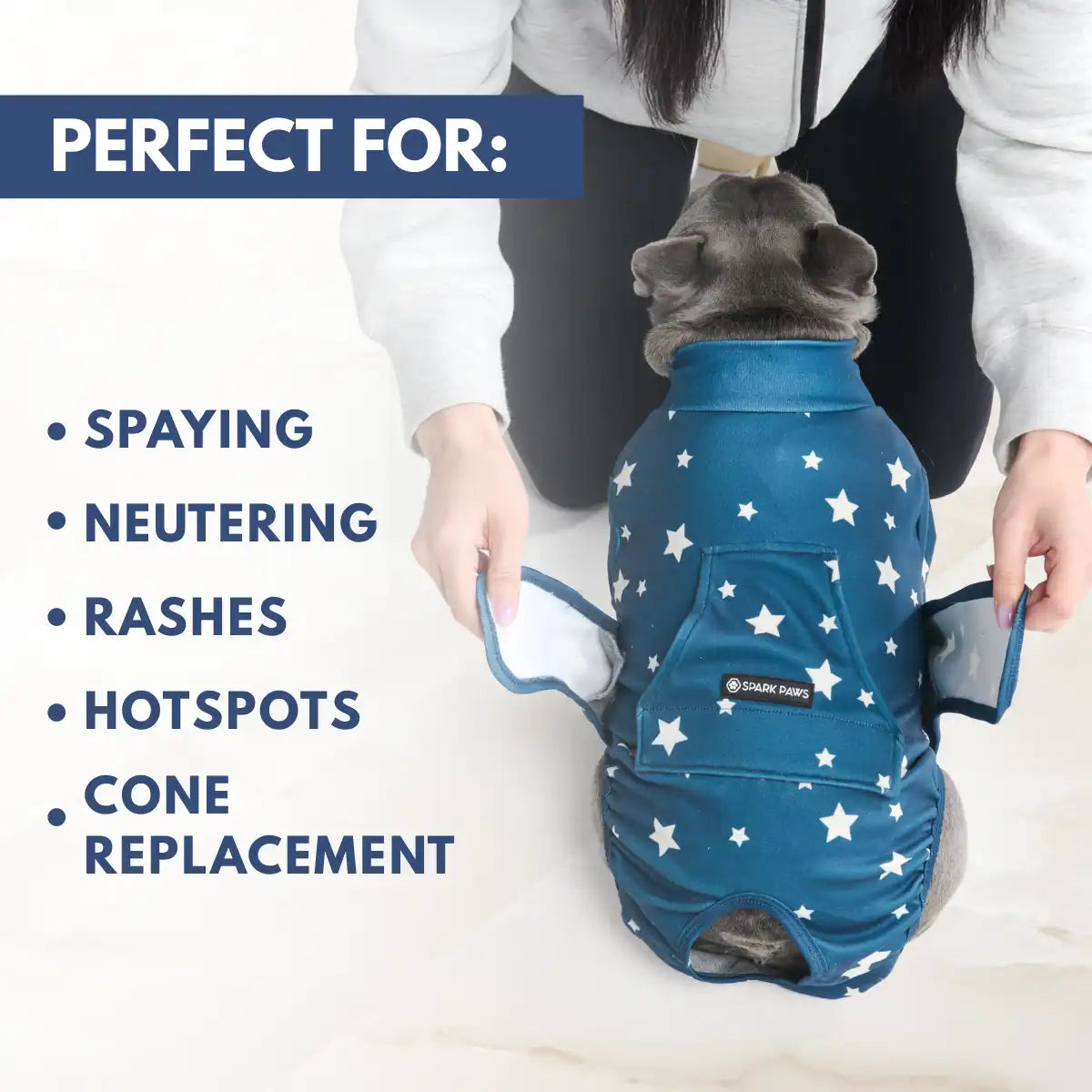 Dog Surgical Suit - Stars