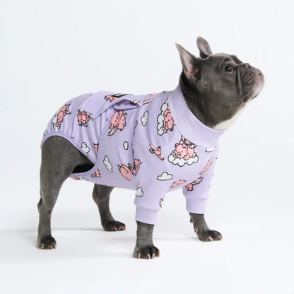 Dog Surgical Suit - When Pigs Fly