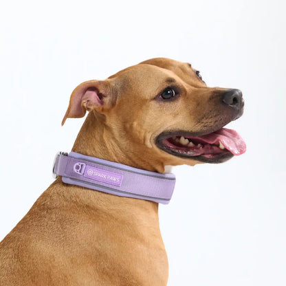 Cushioned Martingale Collars