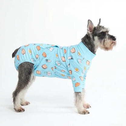 Dog Surgical Suit