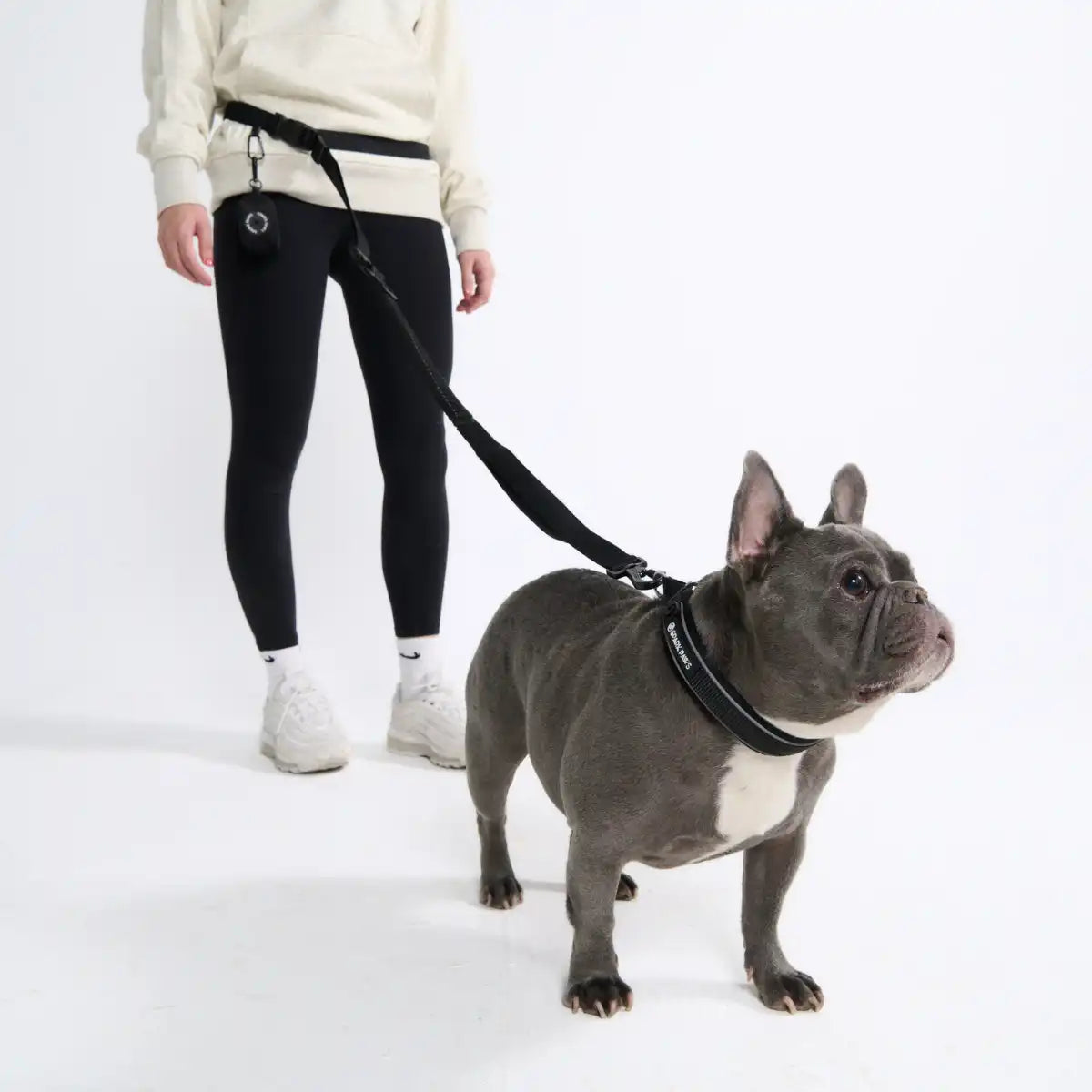 Multipurpose Seatbelt Handsfree Leash & Poop Bag Holder Set