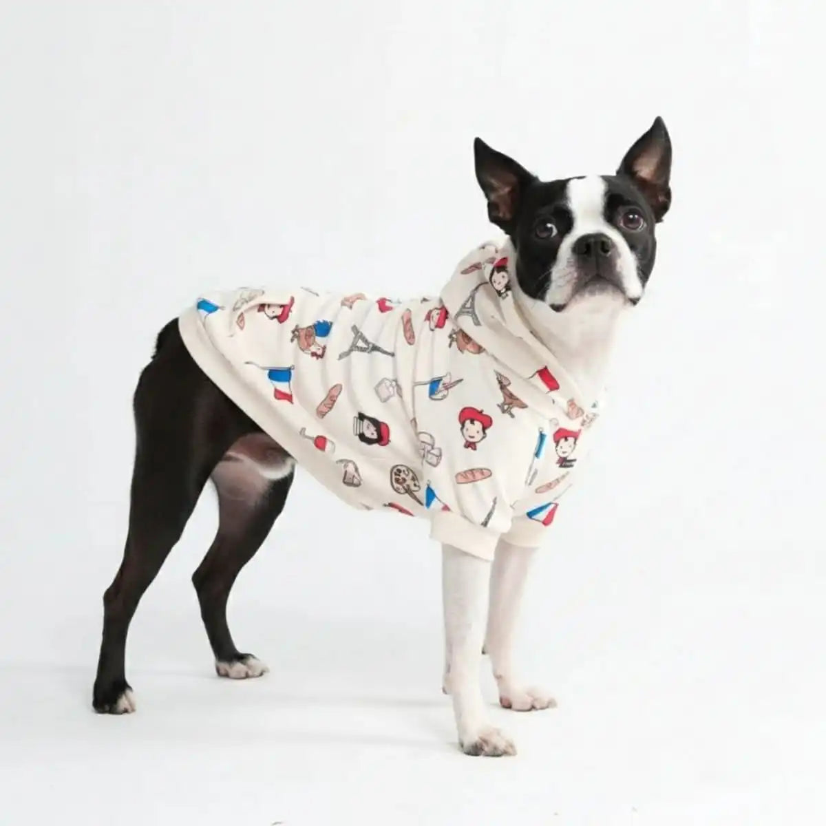 Around the World Dog Hoodies