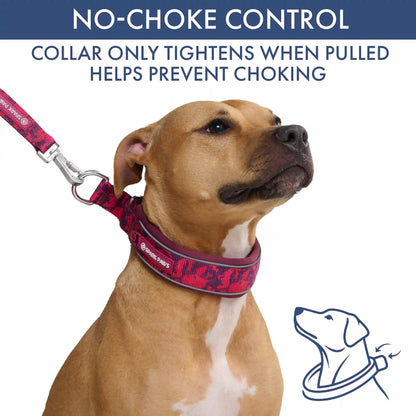 Martingale Collar Sets