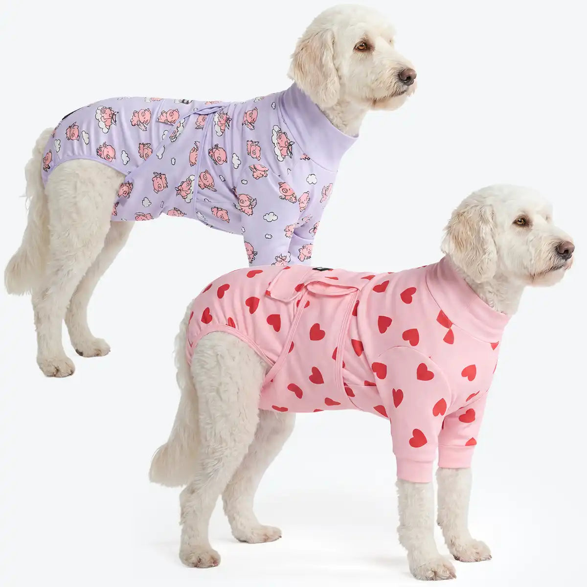 Dog Surgical Suit  2-pack