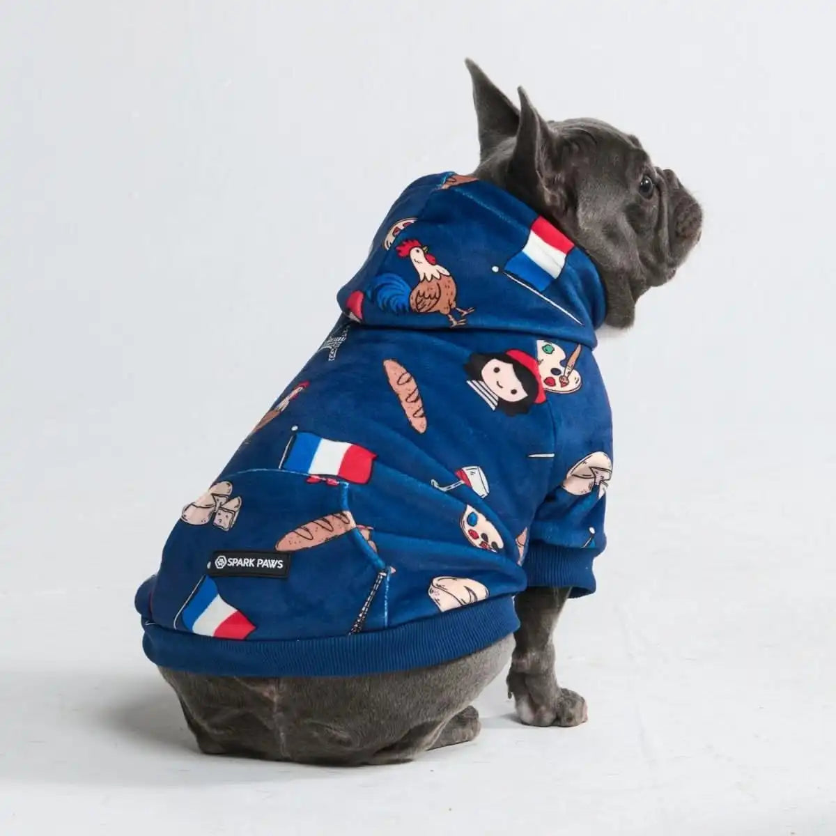 Around the World Dog Hoodies