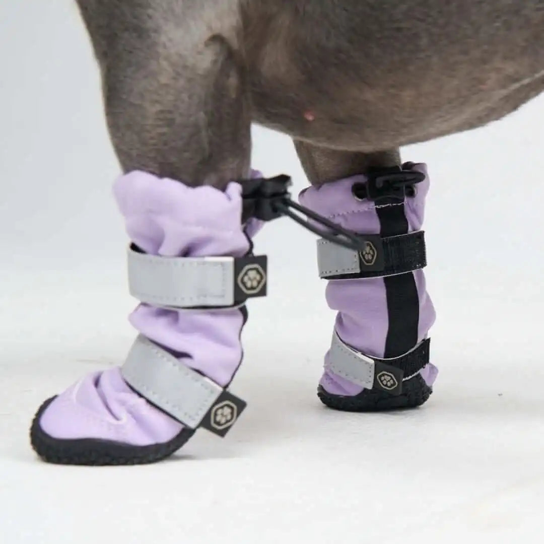 Dog Rainboots, Waterproof Dog Shoes
