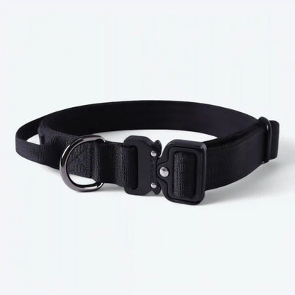 Comfort Control Dog Collars