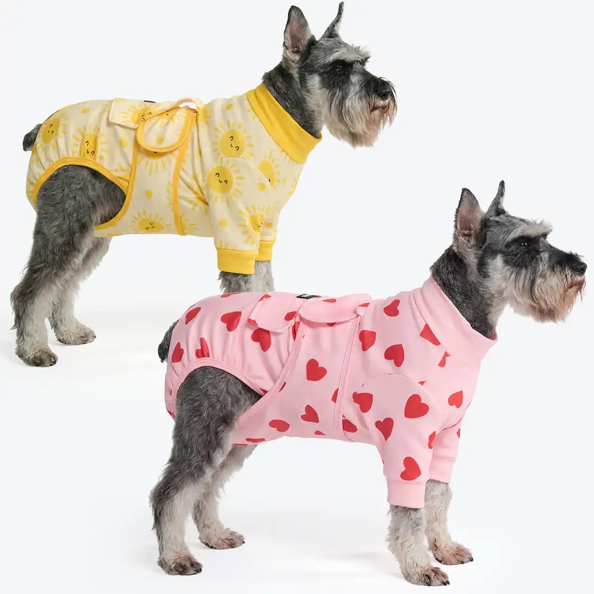 Dog Surgical Suit (2-pack) - Pink Hearts and Sunshine