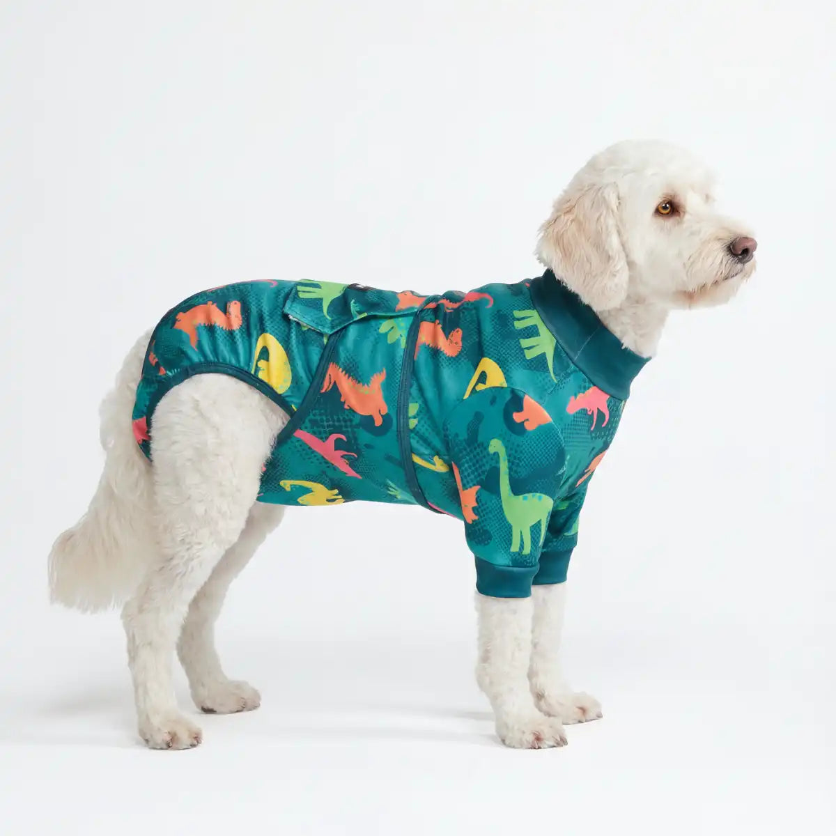 Dog Surgical Suit