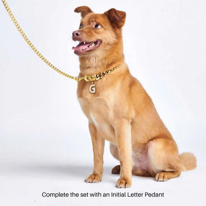 Cuban Link Chain Dog Collar - Gold