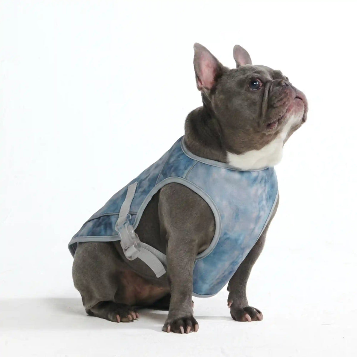 Dog Cooling Vest - Ice Blue (2)