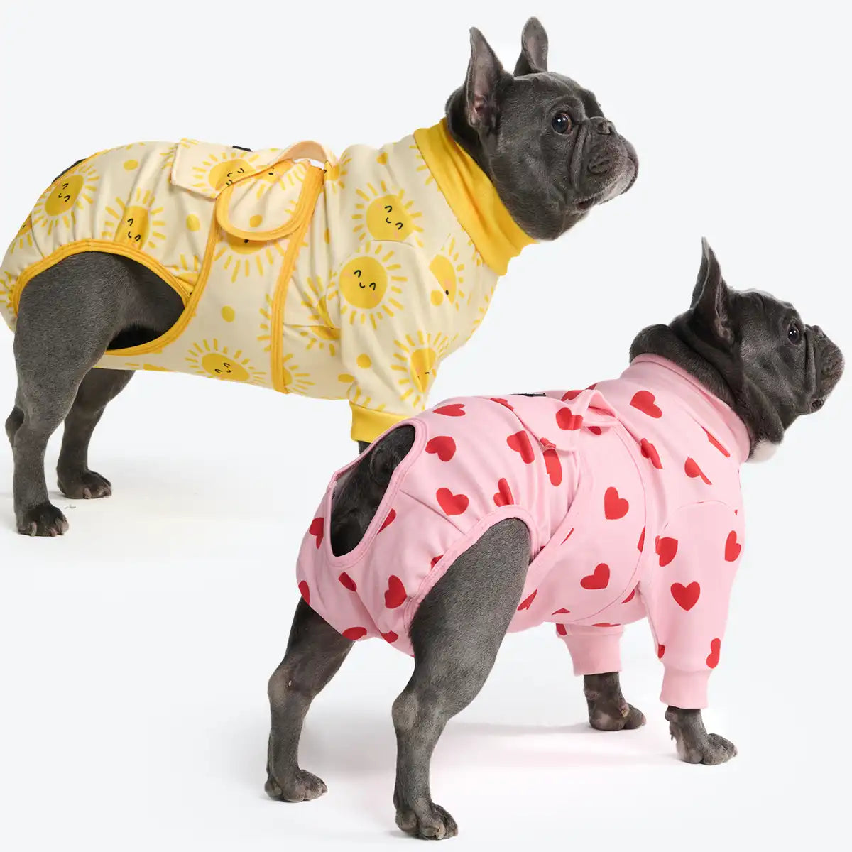 Dog Surgical Suit (2-pack) - Pink Hearts and Sunshine