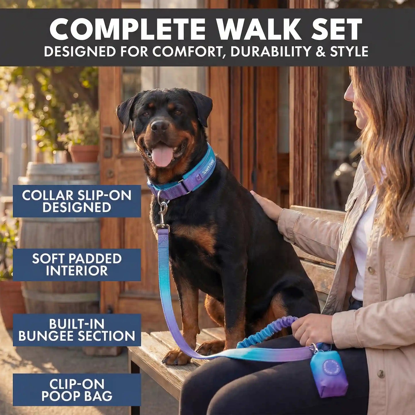 Martingale Collar and Multipurpose Leash Set - 90s Retro