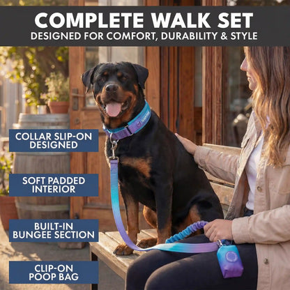 Martingale Collar and Multipurpose Leash Set - 90s Retro
