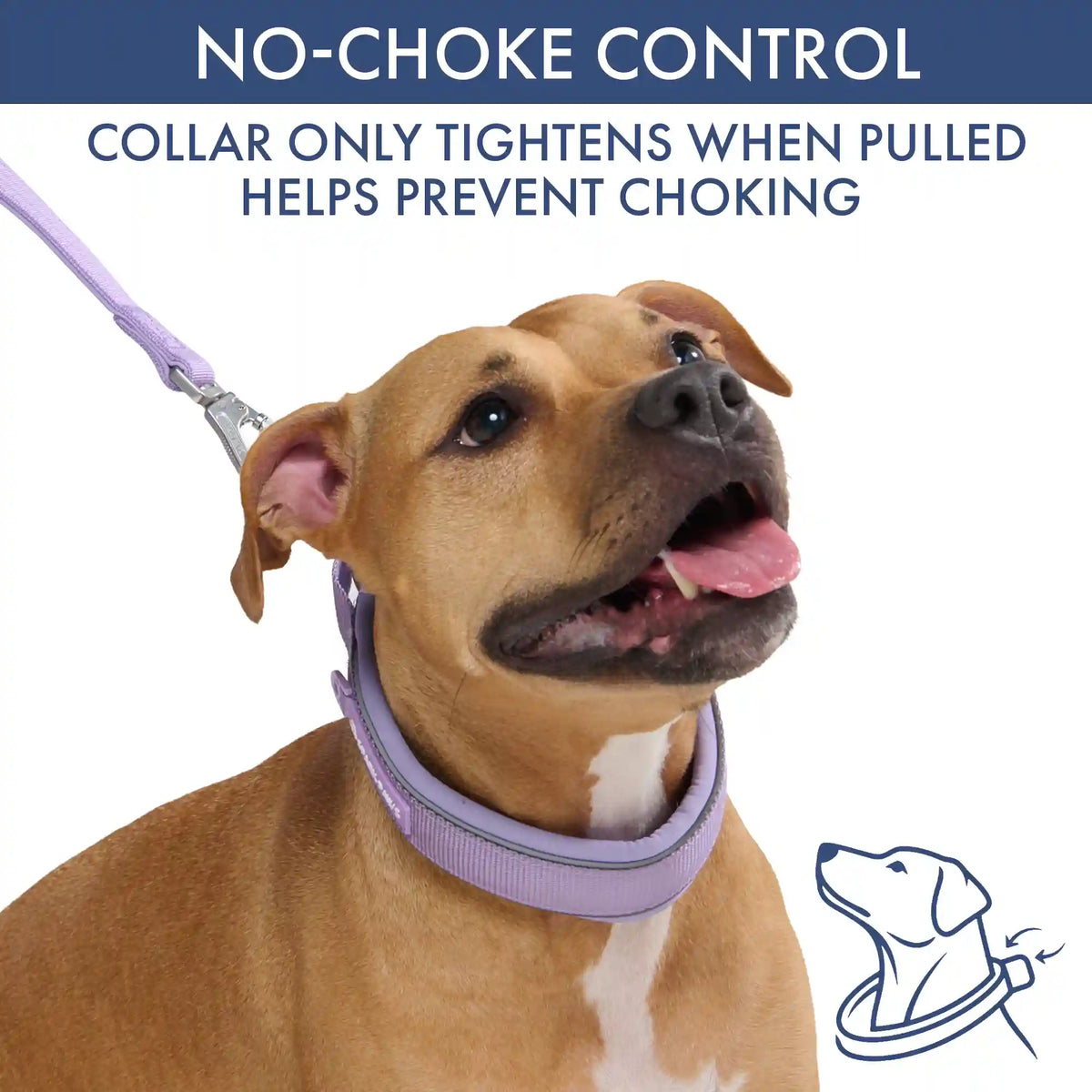 Martingale Collar Set - Lilac