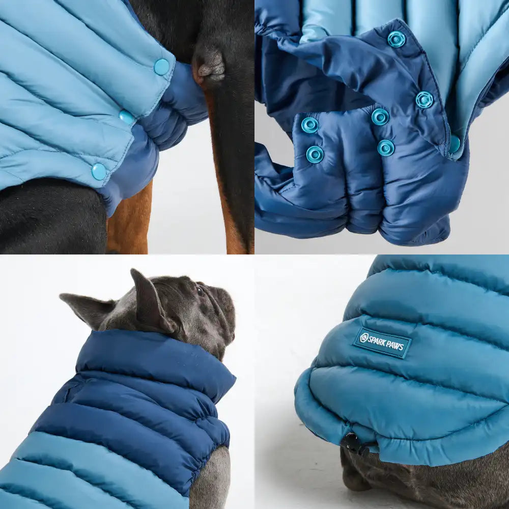 PuffShield Winter Jacket - Blue